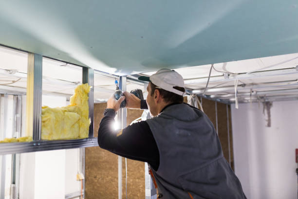 Best Eco-Friendly or Green Insulation Solutions  in Middleton, WI